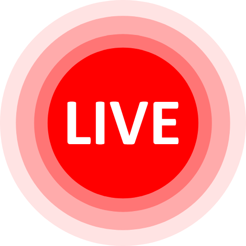 Videopantyhose